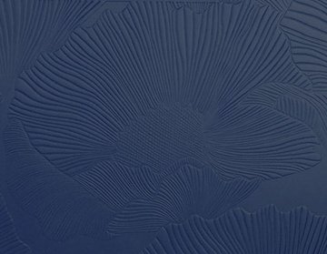 námořnická modrá